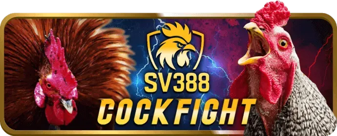 Cá Cược Thể Thao mk88